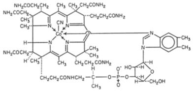 Pill image for Cyanocobalamin Injection, Usp