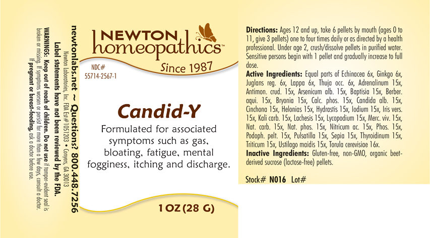 Pill image for Candid-y 2567p