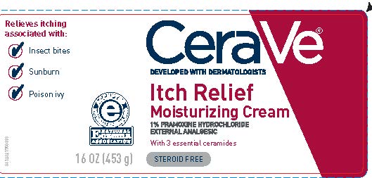 Pill image for Drug Facts