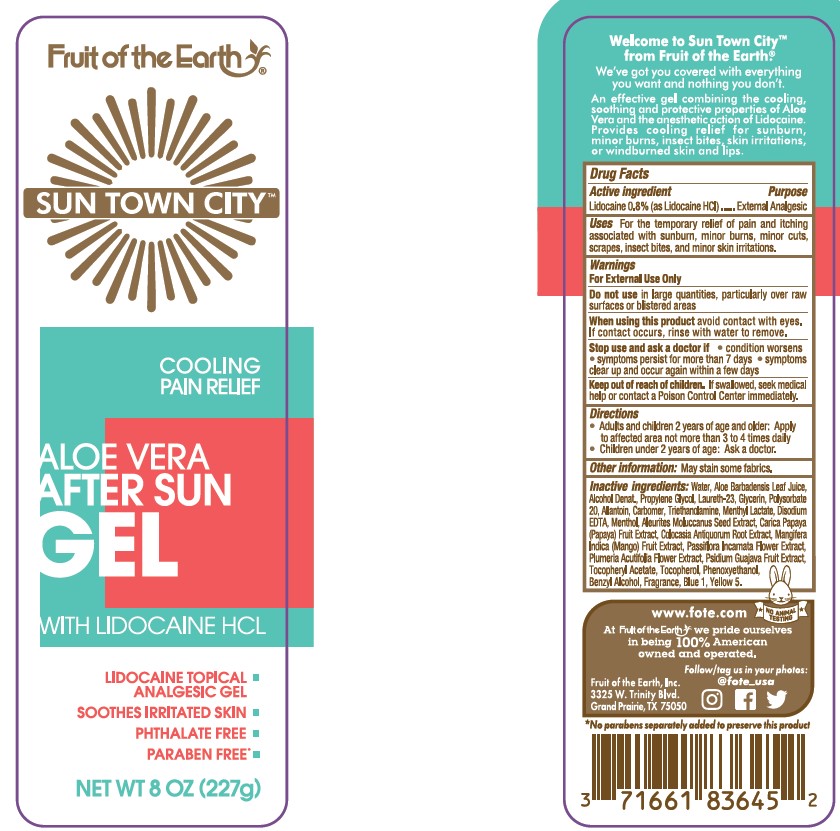 Pill image for Fruit Of The Earth Sun Town City Aloe Vera After Sun Gel With Lidocaine Hcl