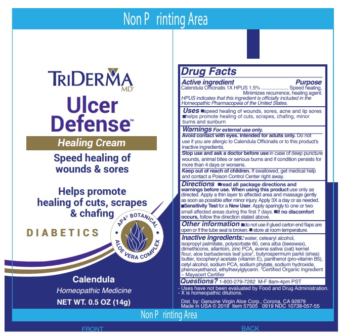 Pill image for Triderma Ulcer Defense Healing Cream