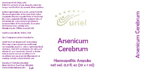 Pill image for Arsenicum Cerebrum