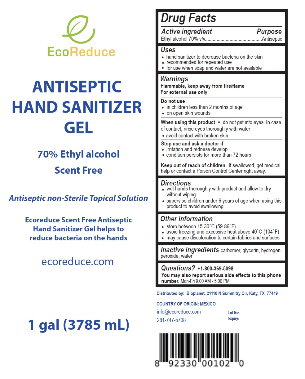 Pill image for Ecoreduce Antiseptic Hand Sanitizer Gel