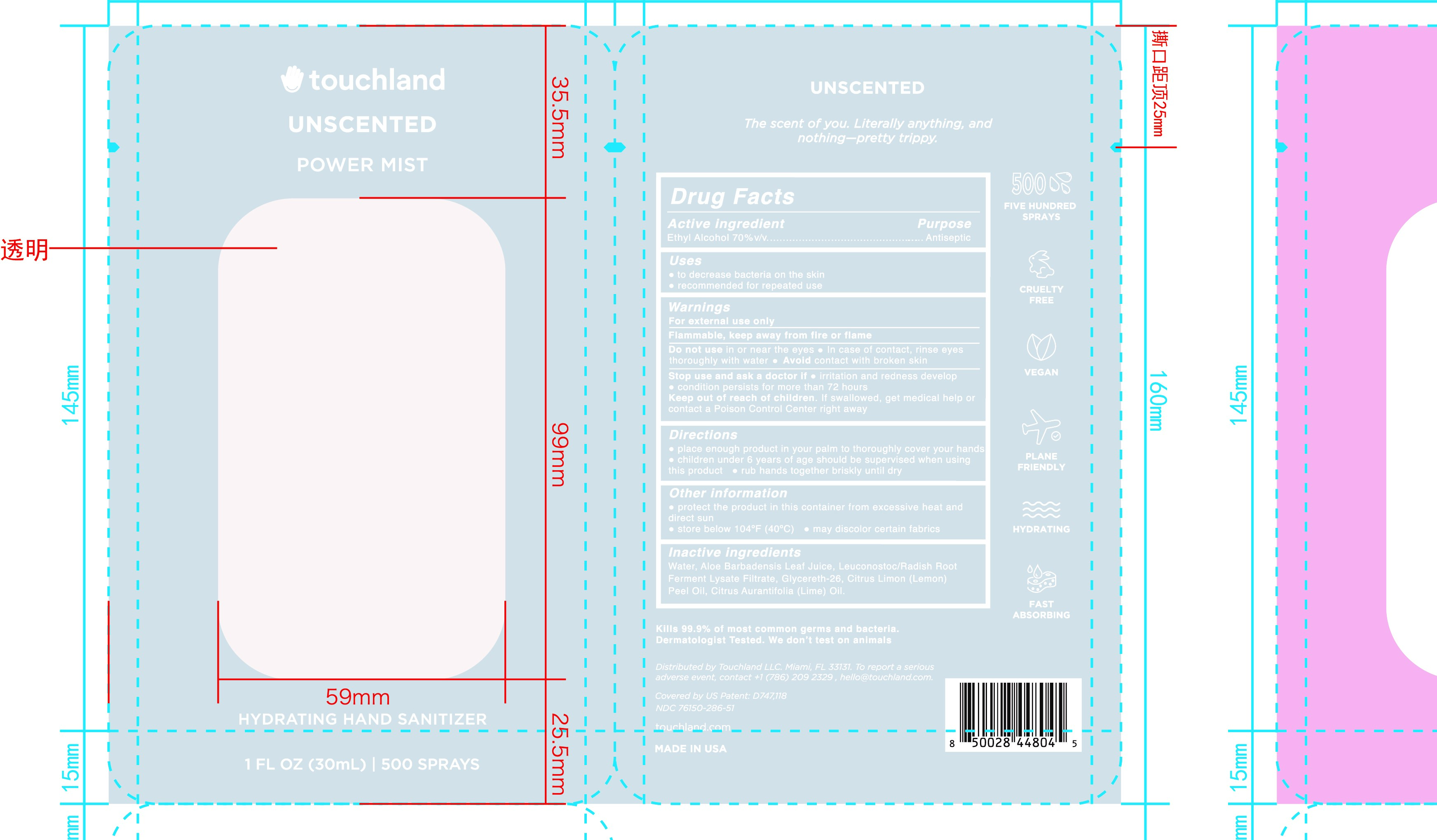 Pill image for Touchland Unscented Hand Sanitizer Spray