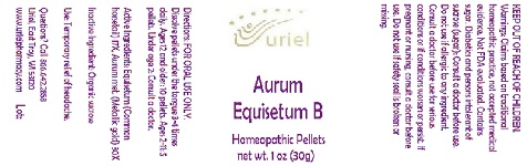 Pill image for Aurum Equisetum B