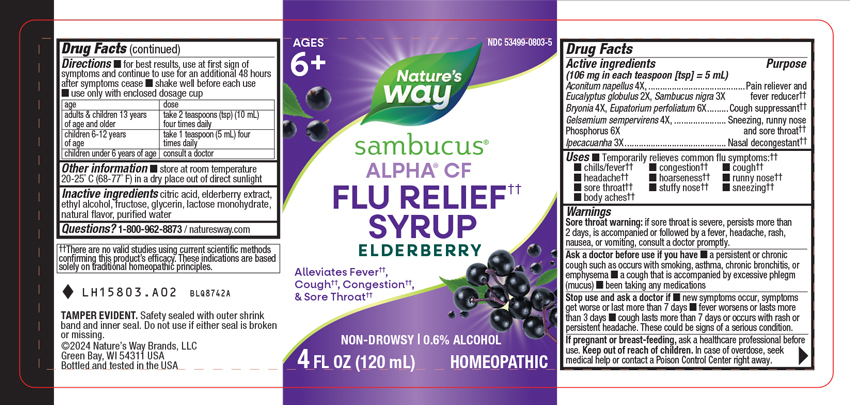 Pill image for Sambucus Flu Relief