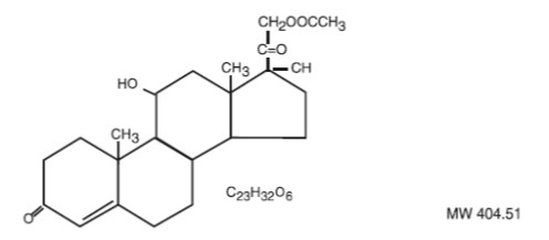 Pill image for Hydrocortisone Acetate Suppositories