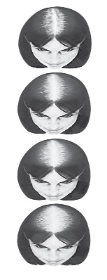 Pill image for Meijer Distribution, Inc. Hair Regrowth Treatment Drug Facts