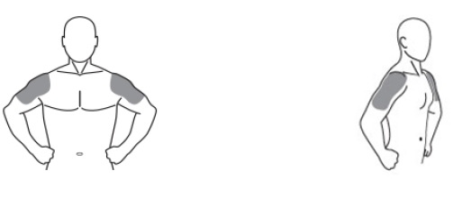 Pill image for These Highlights Do Not Include All The Information Needed To Use Testosterone Gel