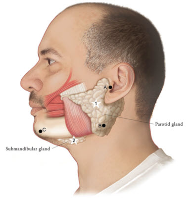 Pill image for These Highlights Do Not Include All The Information Needed To Use Xeomin®