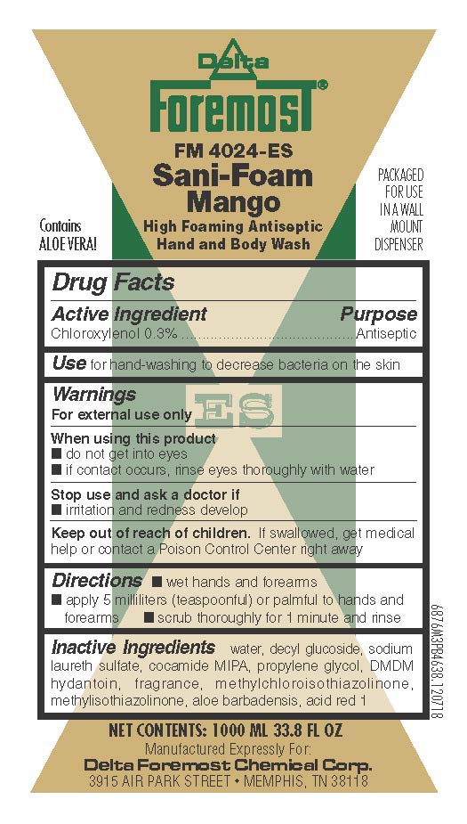 Pill image for Sani Foam Mango Antiseptic Hand And Body Wash 6876 Drug Facts And Label
