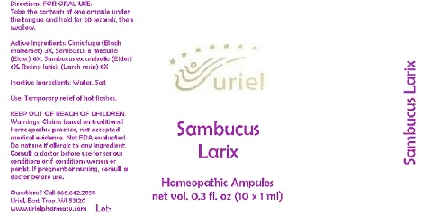 Pill image for Sambucus Larix