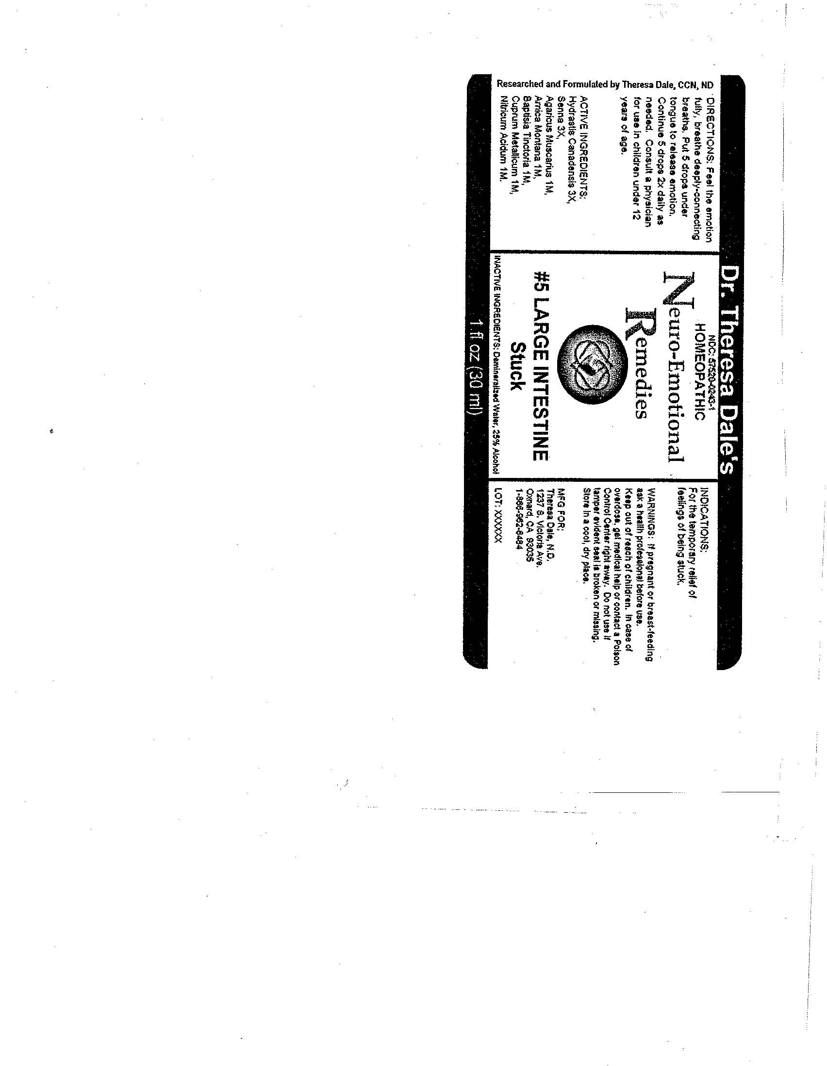 Pill image for #5 Large Intestine
