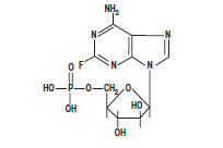 Pill image for Fludarabine Phosphate Injection, Usp