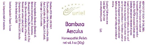 Pill image for Bambusa Aesculus