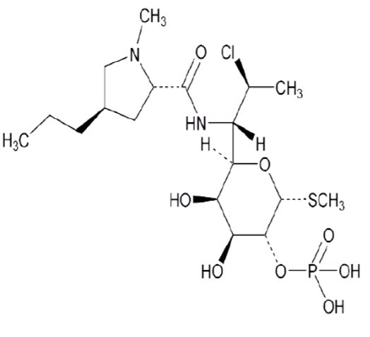 Pill image for These Highlights Do Not Include All The Information Needed To Use Clindamycin Phosphate Foam Safely And Effectively. See Full Prescribing Information For Clindamycin Phosphate Foam.