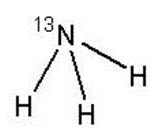 Pill image for These Highlights Do Not Include All The Information Needed To Use Ammonia N13 Injection