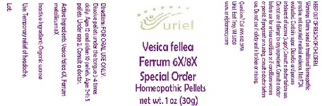 Pill image for vesica fellea ferrum 6/8 special order