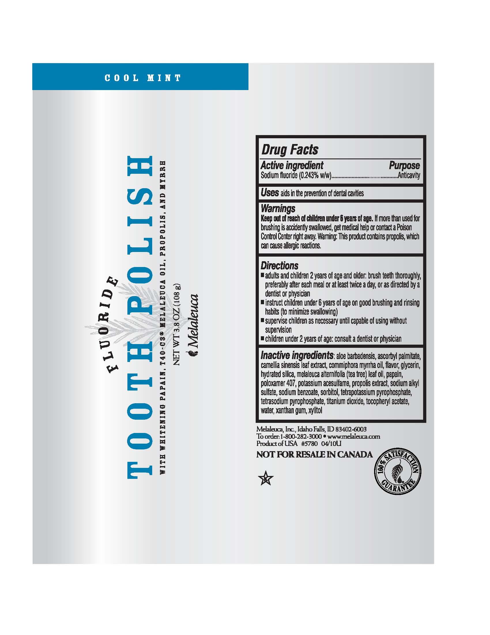 Pill image for fluoride tooth polish cool mint content of label