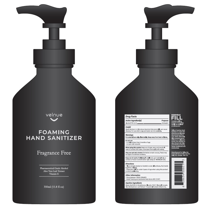 Pill image for Velnue Foaming Hand Saitizer Fragrance Free