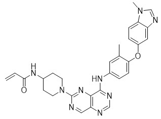 Pill image for These Highlights Do Not Include All The Information Needed To Use Hernexeos Safely And Effectively. See Full Prescribing Information For Hernexeos.