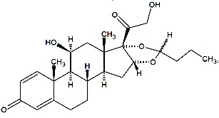 Pill image for These Highlights Do Not Include All The Information Needed To Use Budesonide Inhalation Suspension Safely And Effectively. See Full Prescribing Information For Budesonide Inhalation Suspension.