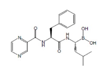 Pill image for These Highlights Do Not Include All The Information Needed To Use Bortezomib For Injection Safely And Effectively. See Full Prescribing Information For Bortezomib For Injection.