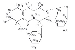 Pill image for Erythromycin And Benzoyl Peroxide Topical Gel Usp