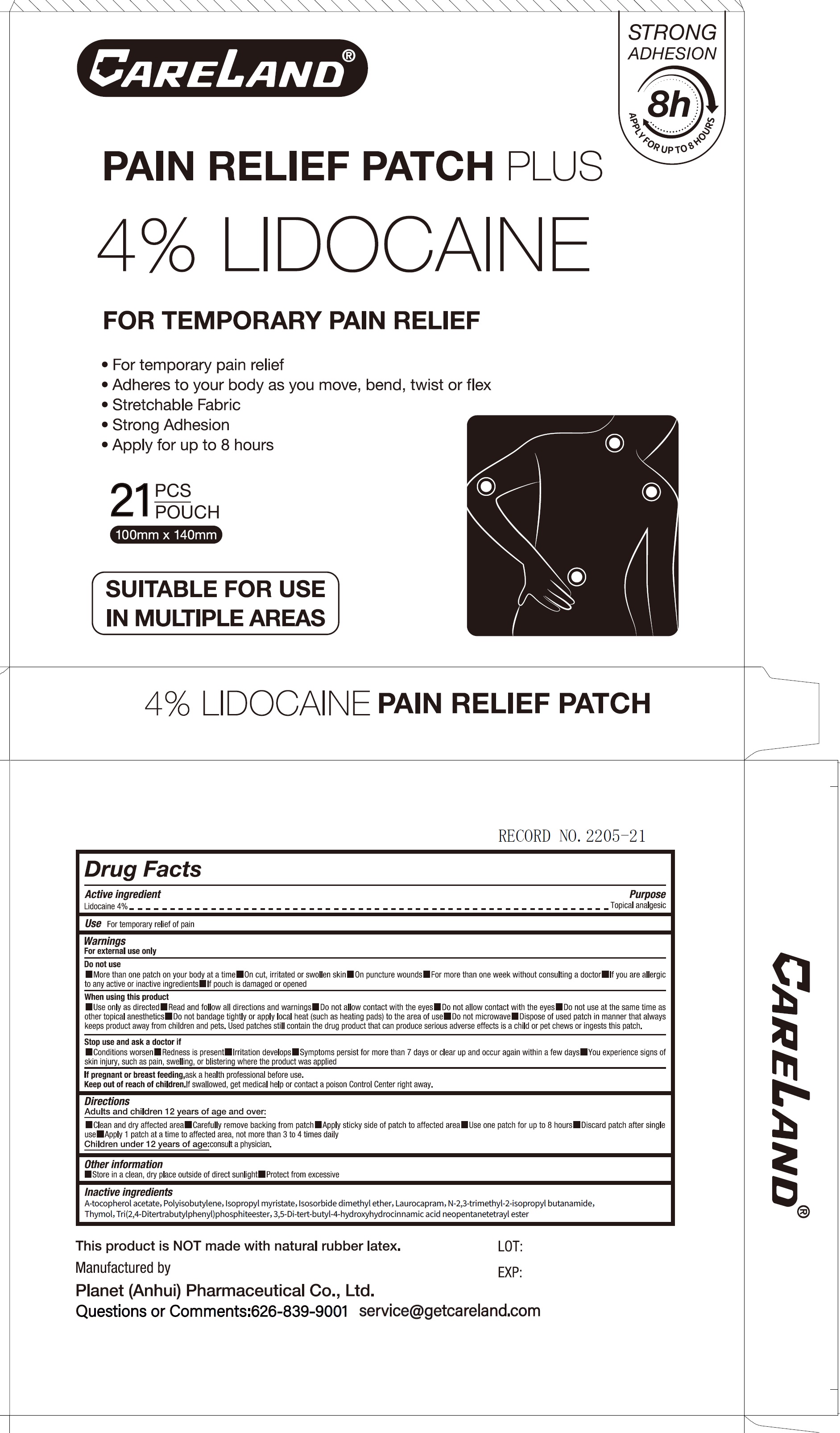 Pill image for Careland Pain Relief Patch Plus