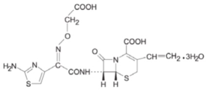 Pill image for These Highlights Do Not Include All The Information Needed To Use Cefixime Capsules Safely And Effectively. See Full Prescribing Information For Cefixime Capsules.