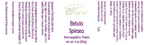 Pill image for Betula Spiraea
