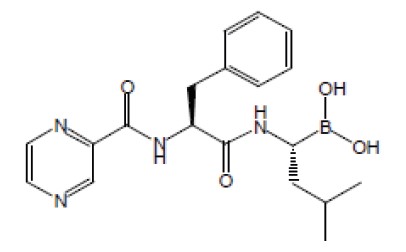 Pill image for These Highlights Do Not Include All The Information Needed To Usebortezomib For Injectionsafely And Effectively. See Full Prescribing Information Forbortezomib For Injection.