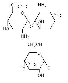 Pill image for Tobramycin