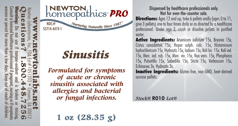 Pill image for Sinusitis