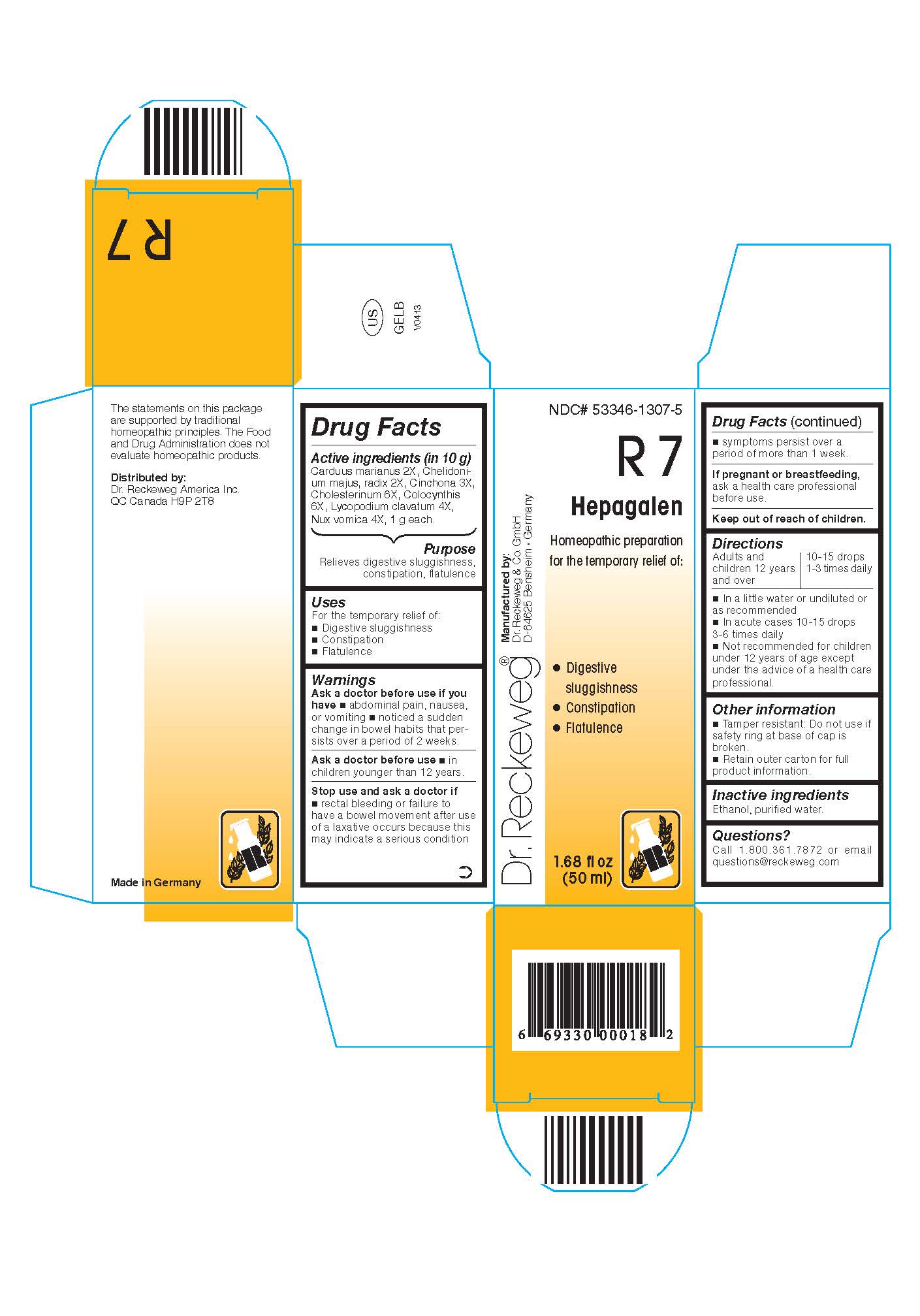 Pill image for Dr. Reckeweg R7 Hepagalen
