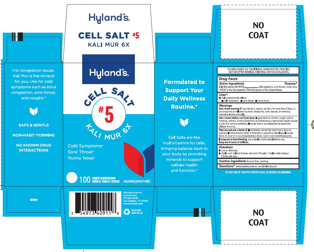 Pill image for Cell Salt #5 Kali Mur 6x