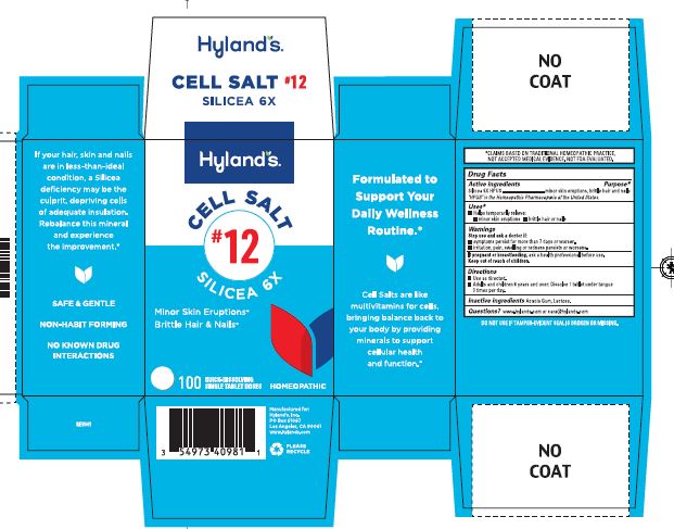 Pill image for Cell Salt #12 Silicea 6x