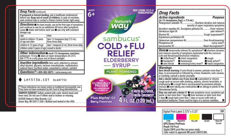 Pill image for Sambucus Cold + Flu Relief Elderberry Syrup