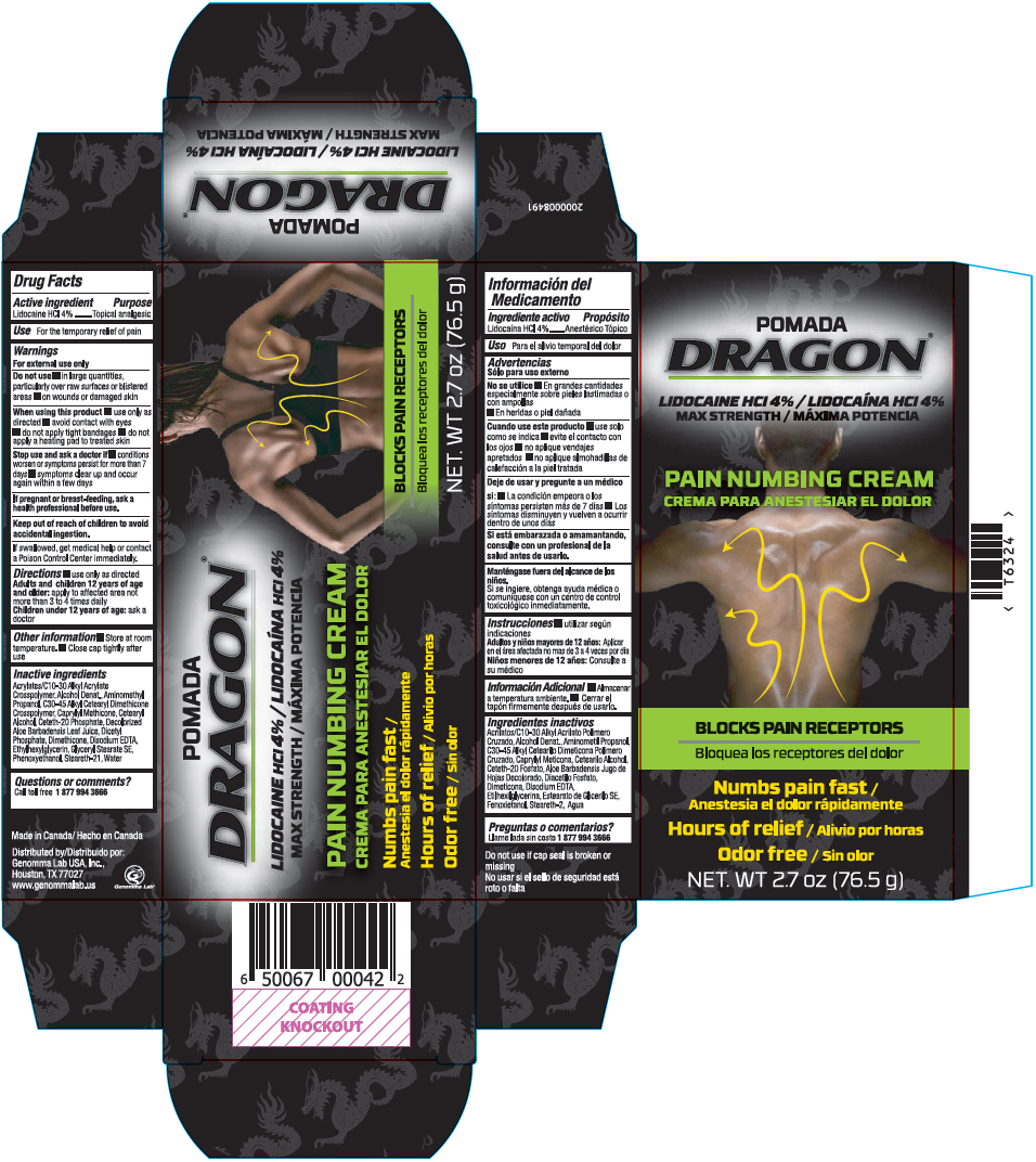 Pill image for Dragon®