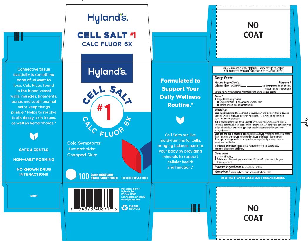 Pill image for Cell Salt #1 Calc Fluor 6x