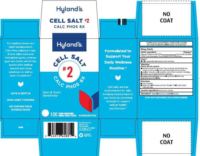 Pill image for Cell Salt #2 Calc Phos 6x