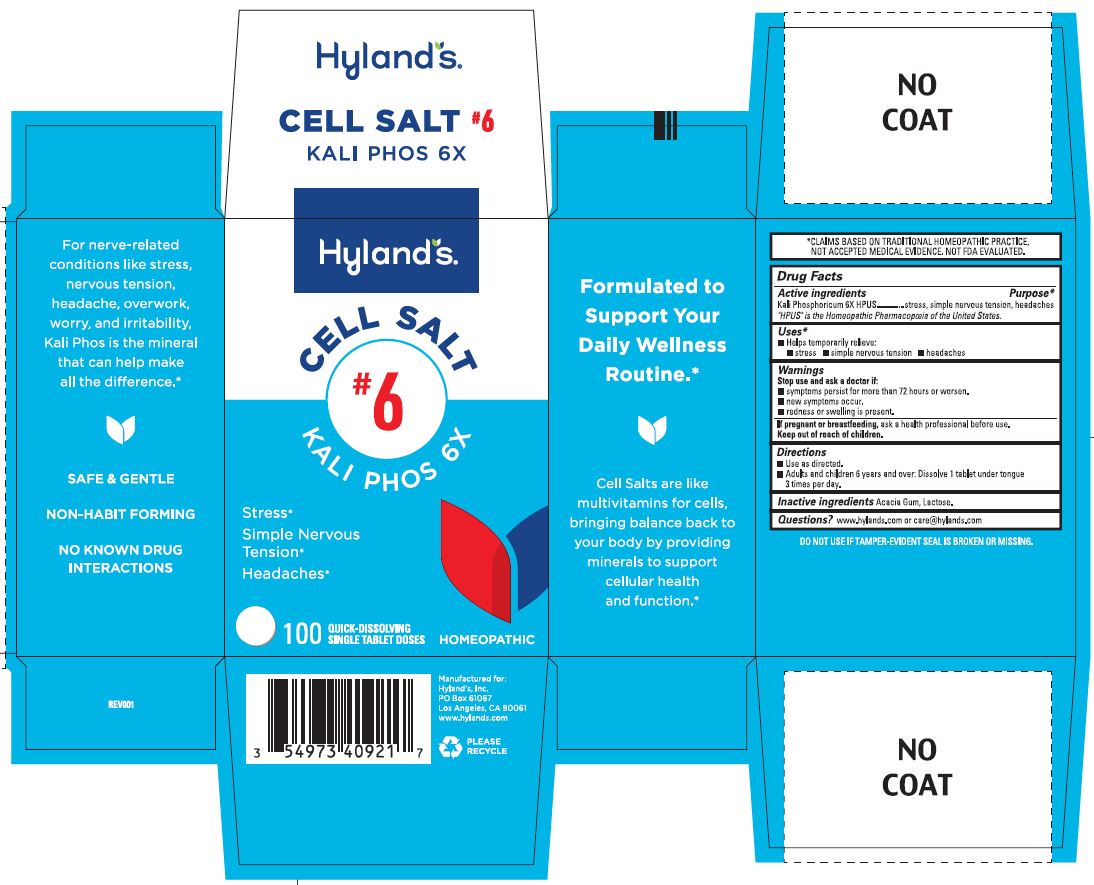 Pill image for Hyland's Cell Salt #6 Kali Phos 6x