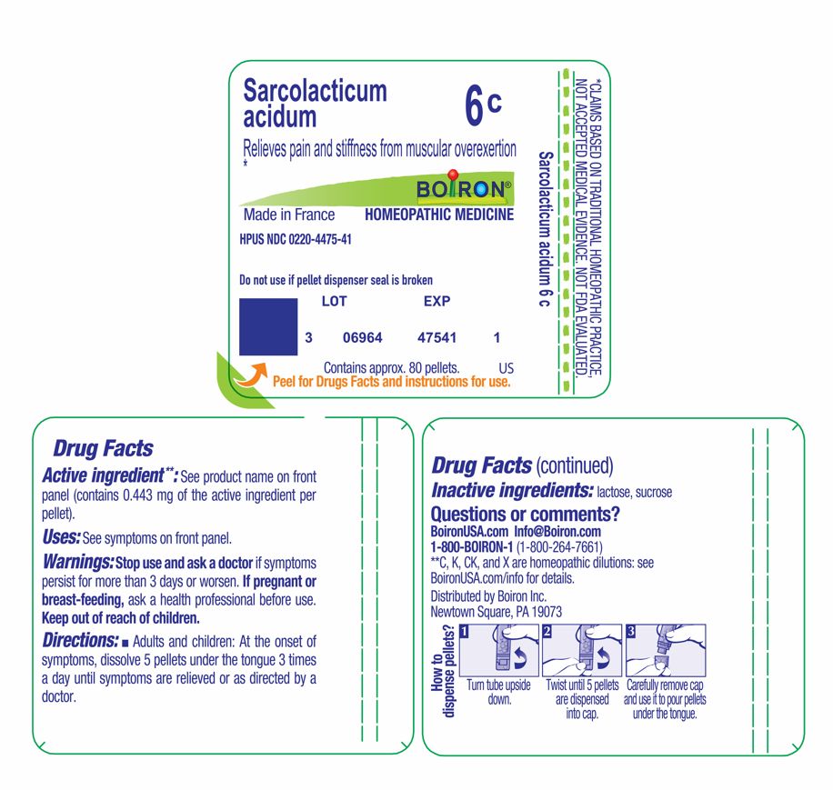Pill image for sarcolacticum acidum 6c md