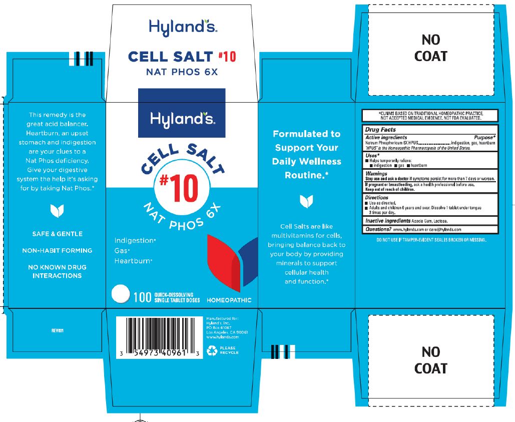 Pill image for Cell Salt #10 Nat Phos 6x