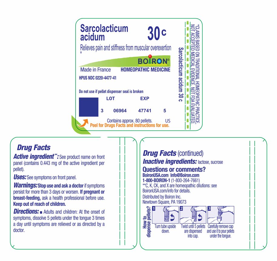 Pill image for sarcolacticum acidum 30c md
