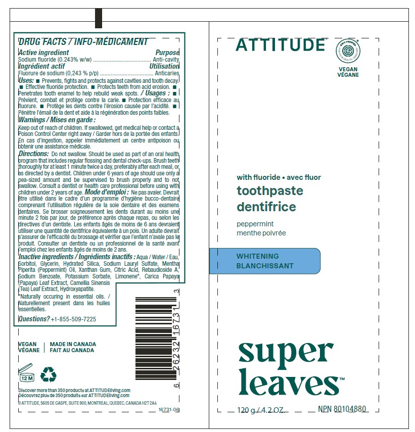 Pill image for Attitude Super Leaves Toothpaste With Fluoride - Peppermint