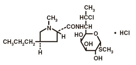 Pill image for Cleocin Hcl®