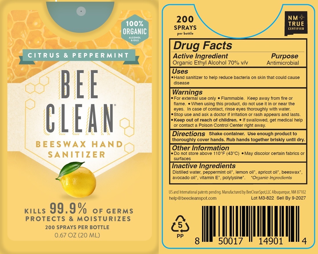 Pill image for Bee Clean - Beeswax Hand Sanitizer - Citrus And Peppermint