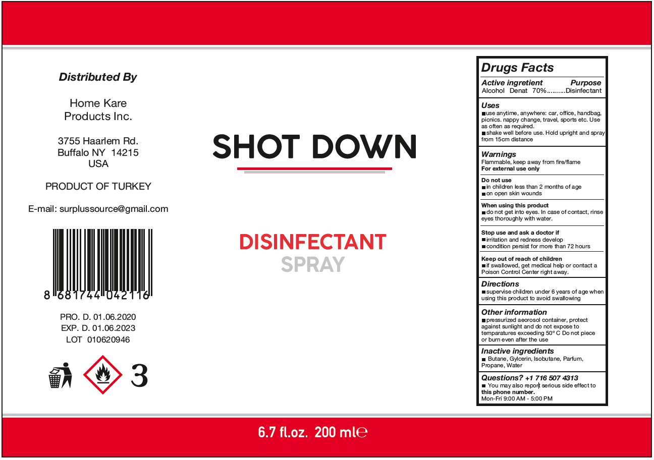 Pill image for Shot Down Disinfectant Spray