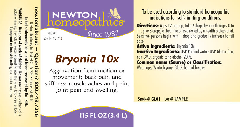 Pill image for Bryonia 9019l